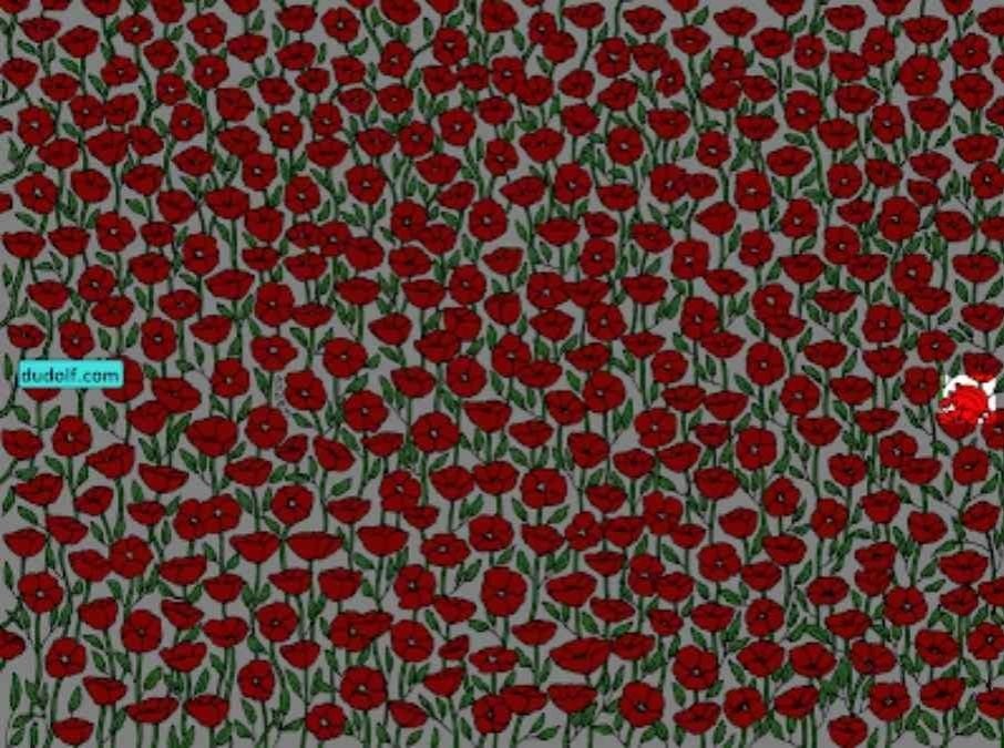 Tik itin dėmesingi krabą ras paveikslėlyje: pasitikrinkite savo IQ per 25 sekundes