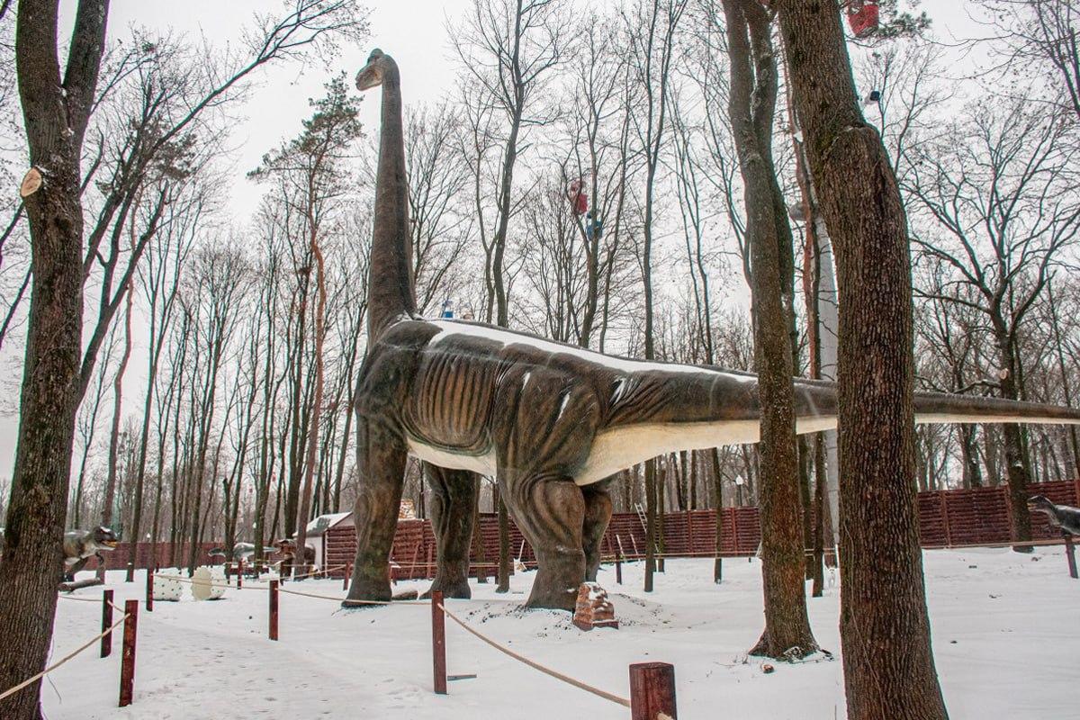 Raskite šunį tarp sniego per 10 sekundžių / Moje koliažas