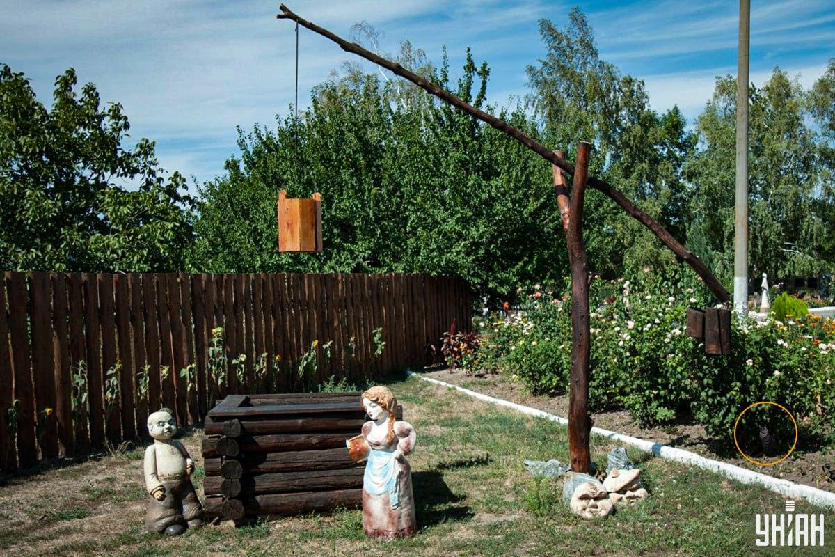 Katė buvo gėlių lovoje / Moje koliažas