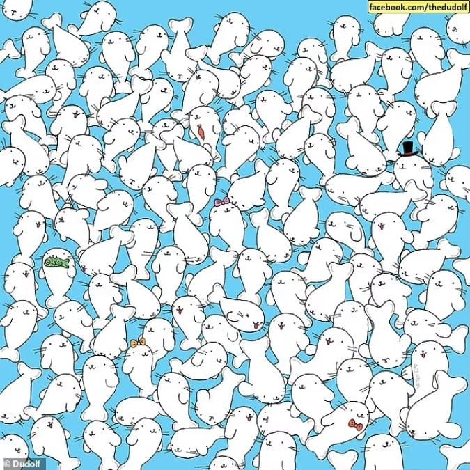 Dėlionė žmonėms, turintiems gerą regėjimą: raskite zefyrą tarp ruonių per 11 sekundžių