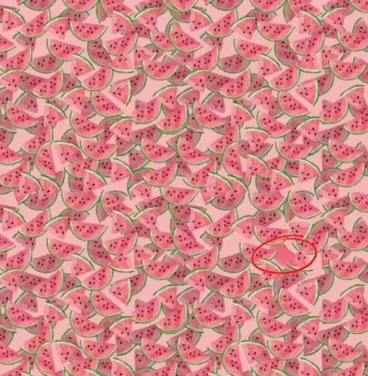 Per 10 sekundžių suraskite specialų arbūzą