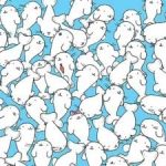 Dėlionė žmonėms, turintiems gerą regėjimą: raskite zefyrą tarp ruonių per 11 sekundžių Dėlionė žmonėms, turintiems gerą regėjimą: raskite zefyrą tarp ruonių per