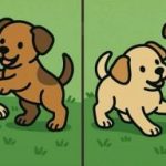 IQ testas: raskite 3 skirtumus dviejų šuniukų nuotraukose per 51 sekundę IQ testas: raskite 3 skirtumus dviejų šuniukų nuotraukose per 51