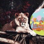 Šią užduotį gali atlikti tik keli žmonės: liūtą parke reikia