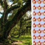 Tik 2% genijų per 10 sekundžių suras žodį „medis“: nuostabus galvosūkis Tik 2% genijų per 10 sekundžių suras žodį „medis“: nuostabus