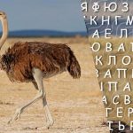 Tik aukštą intelekto koeficientą turintys žmonės per 10 sekundžių suras